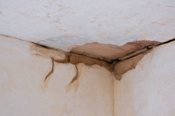 Best Water damage restoration near me  in Dexter, GA