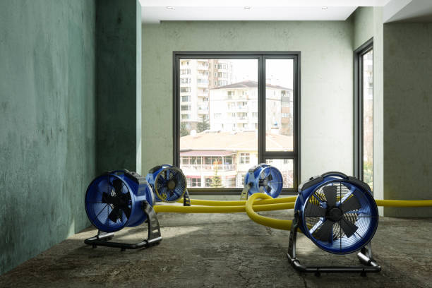 Water damage restoration experts in Dexter, GA